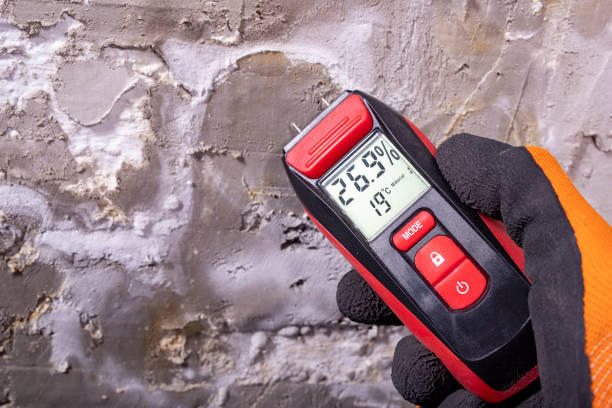 Crawl Space Mold Removal in Shingletown, CA
